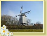 Cassel_07.04.2013 (2)